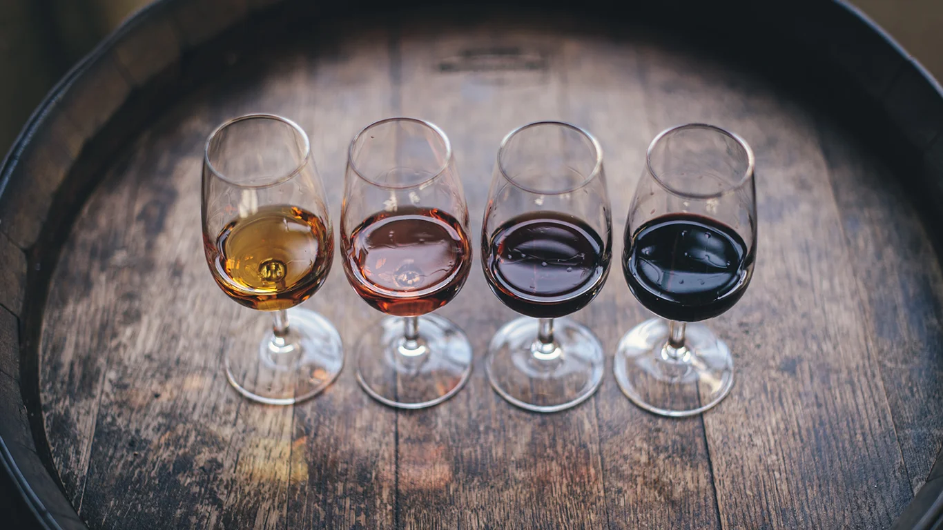 AOC Blaye Côtes de Bordeaux - Château Manon des Brumes