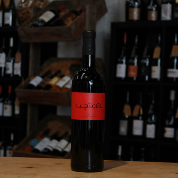 AOC Corbières Rouge - Sur Pilotis - Château Montfin